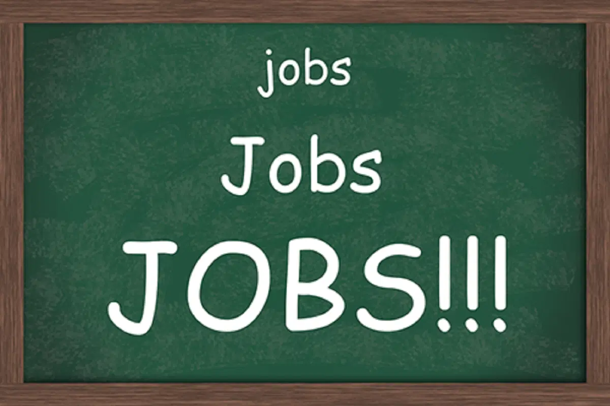 Visa Sponsorship Jobs Abroad – Apply Now for USA, Canada & More