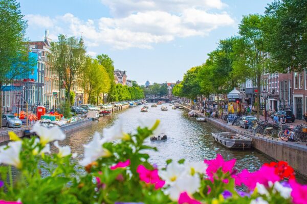 Top 10 high paying jobs in Netherlands 2025